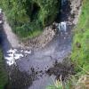 Vue sur Riviere Marsouins